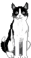 Кот Феликс